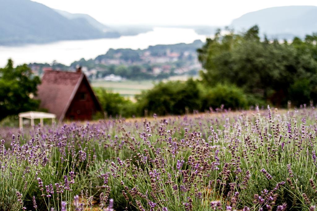 Hotel Natura Hill Panzio & Slow Food Fine Bistro à Zebegény Extérieur photo